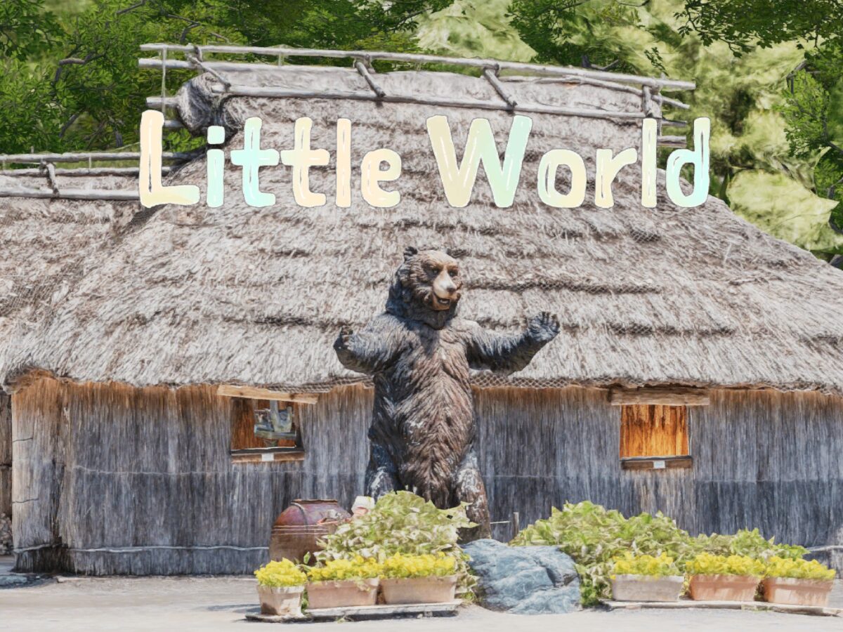 Little World - Tokogrammetry Gallery