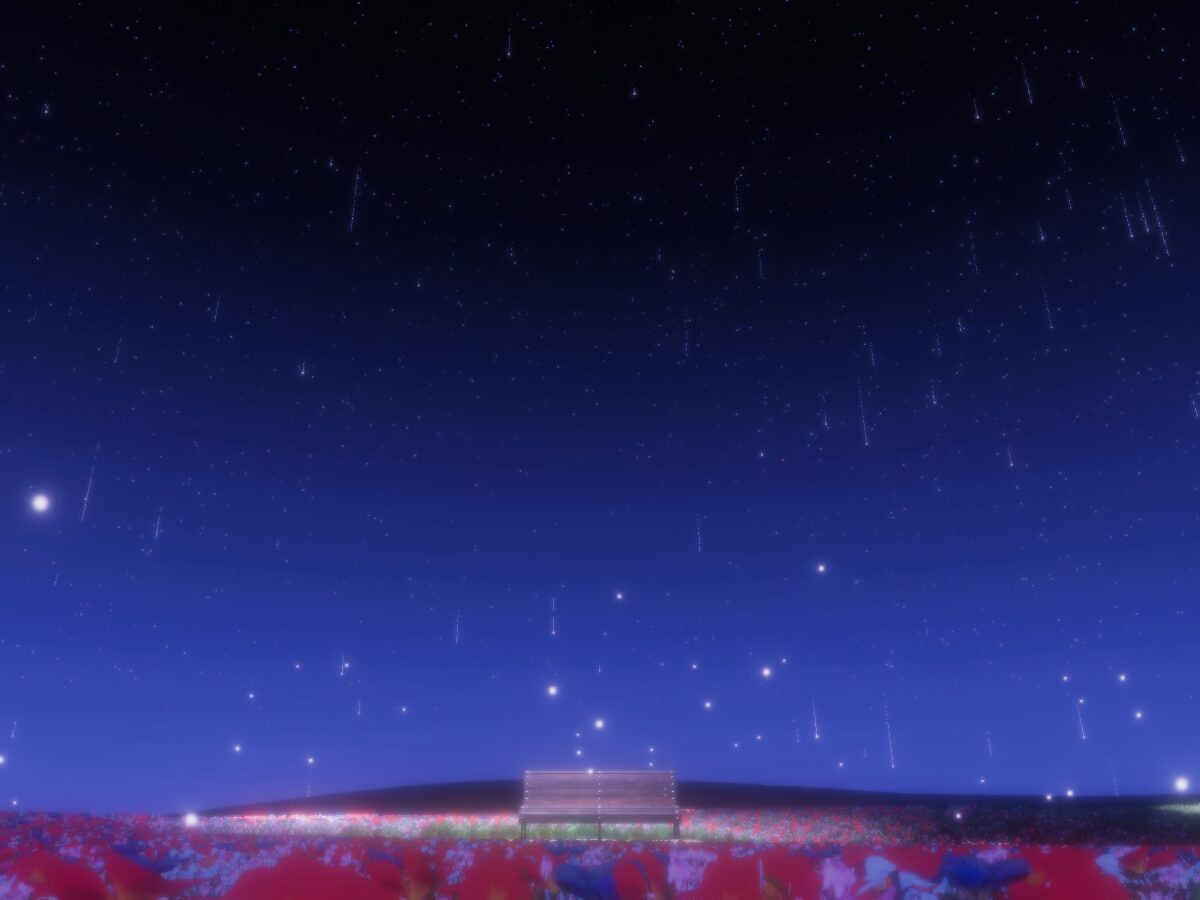 星降る夜に On a Starry Night