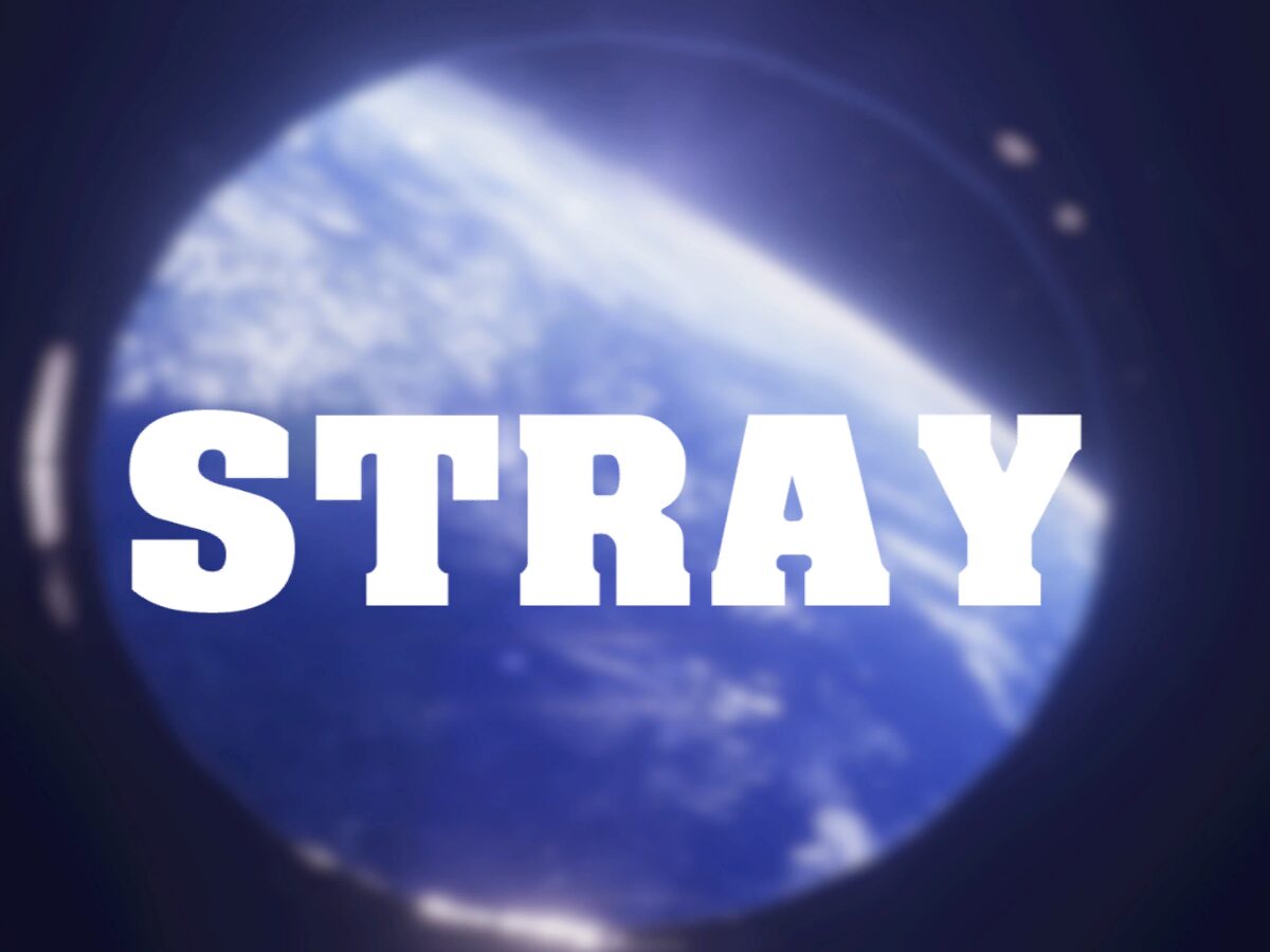 STRAY