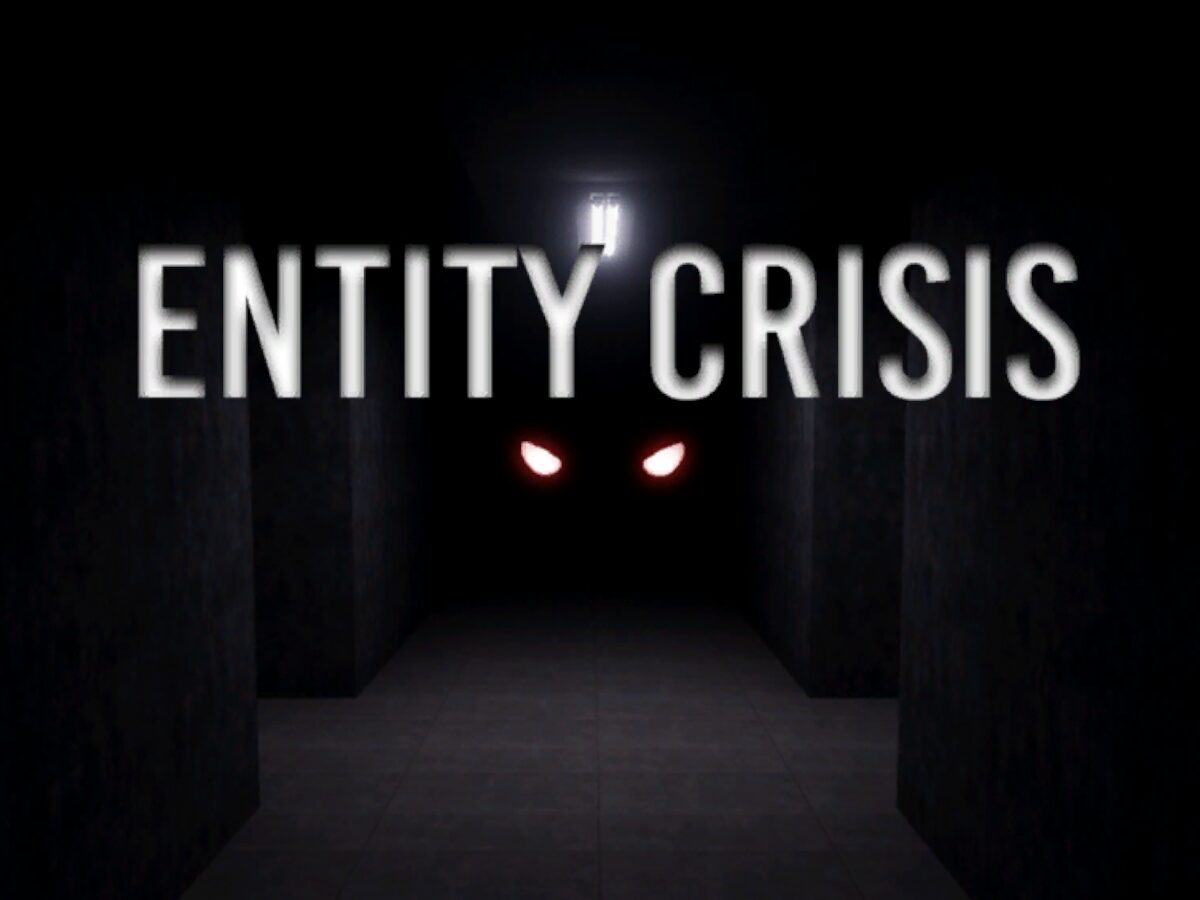 Entity Crisis