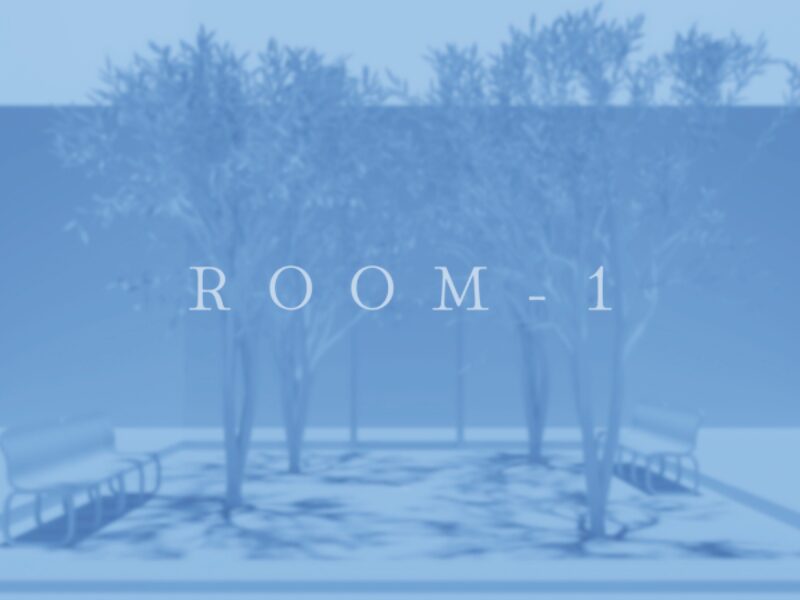 ROOM-1