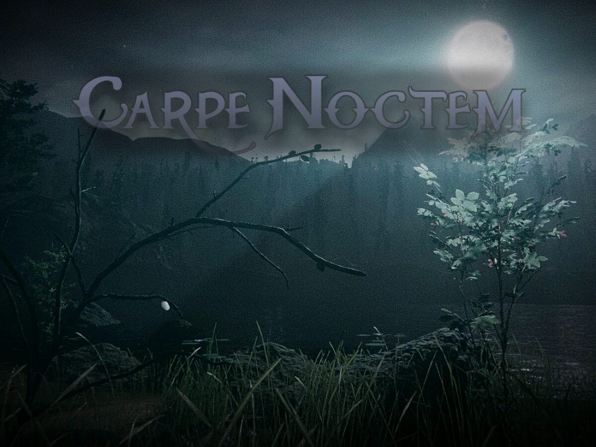 Carpe Noctem