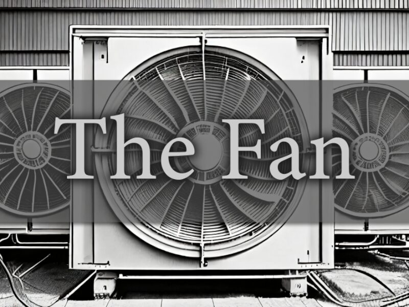 The Fan