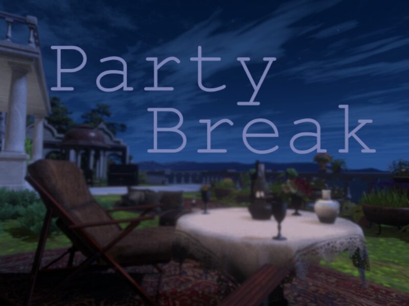 Party Break