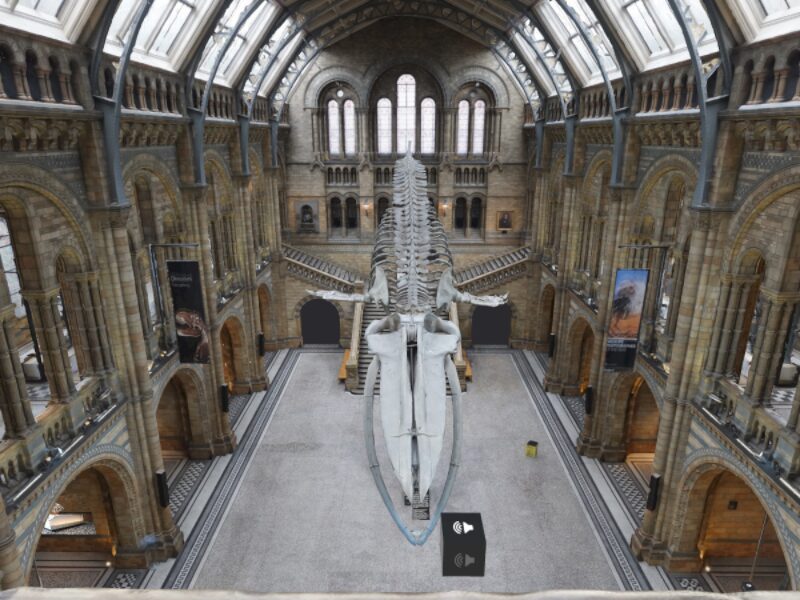 Natural History Museum - Hintze Hall