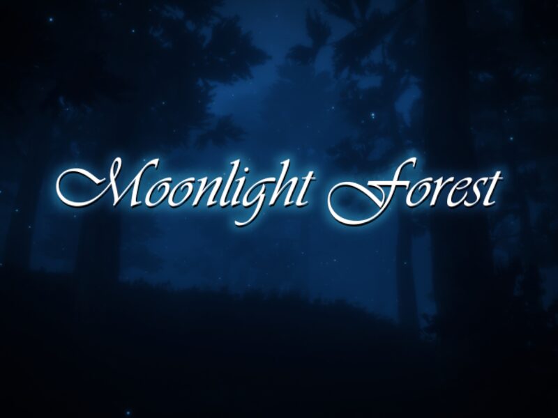 Moonlight Forest