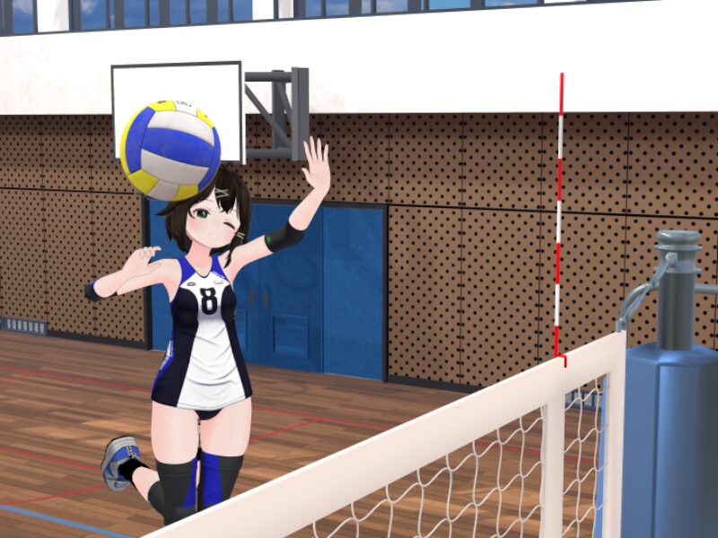 Volleyball Club practice