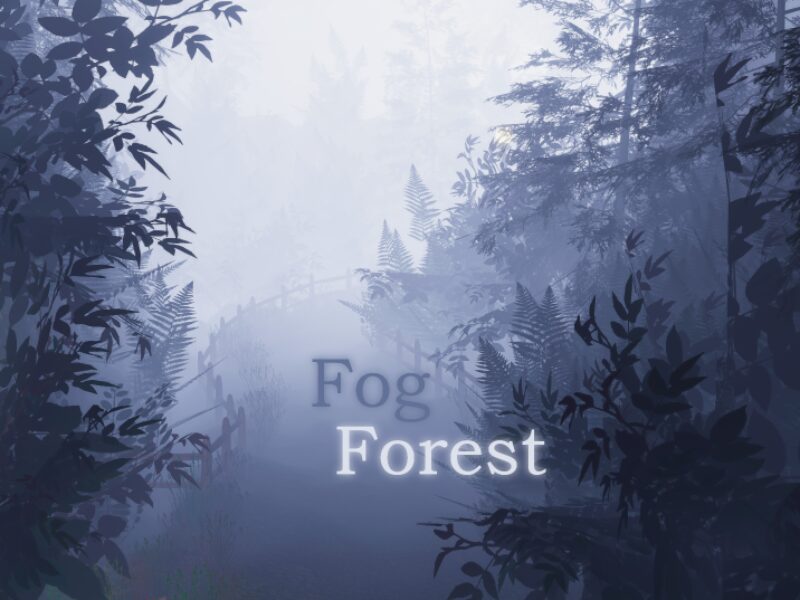 Fog Forest