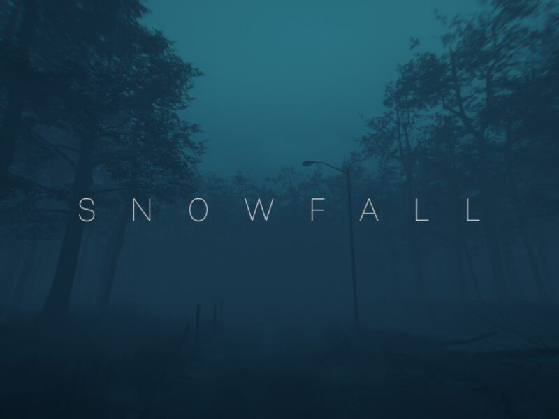 Snowfall