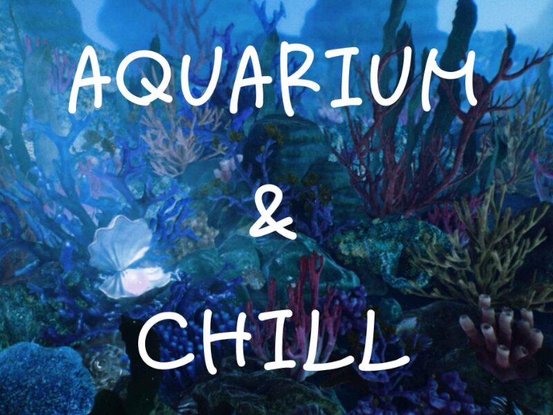 Aquarium ＆ Chill