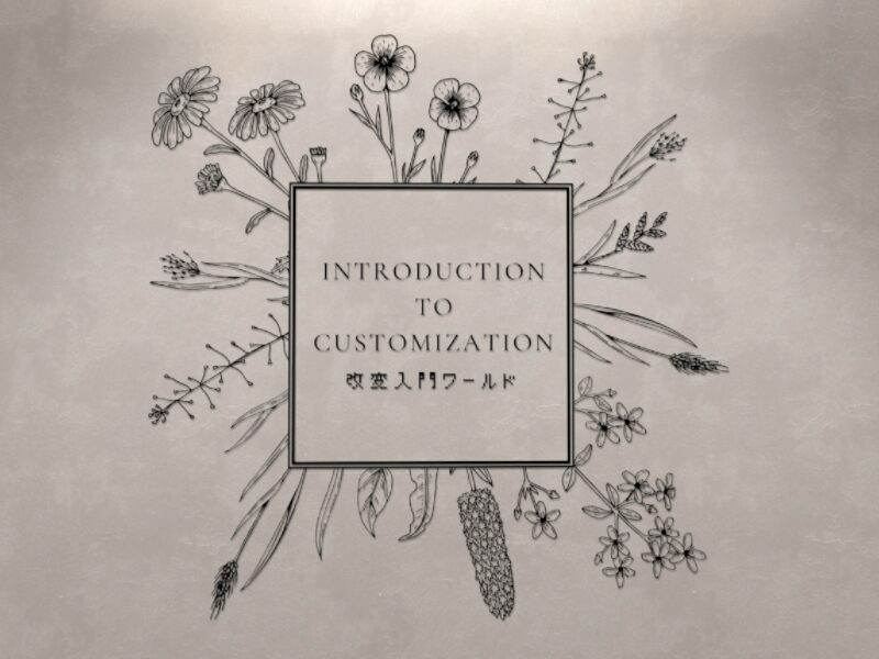 改変入門ワールド～Introduction to Customization～