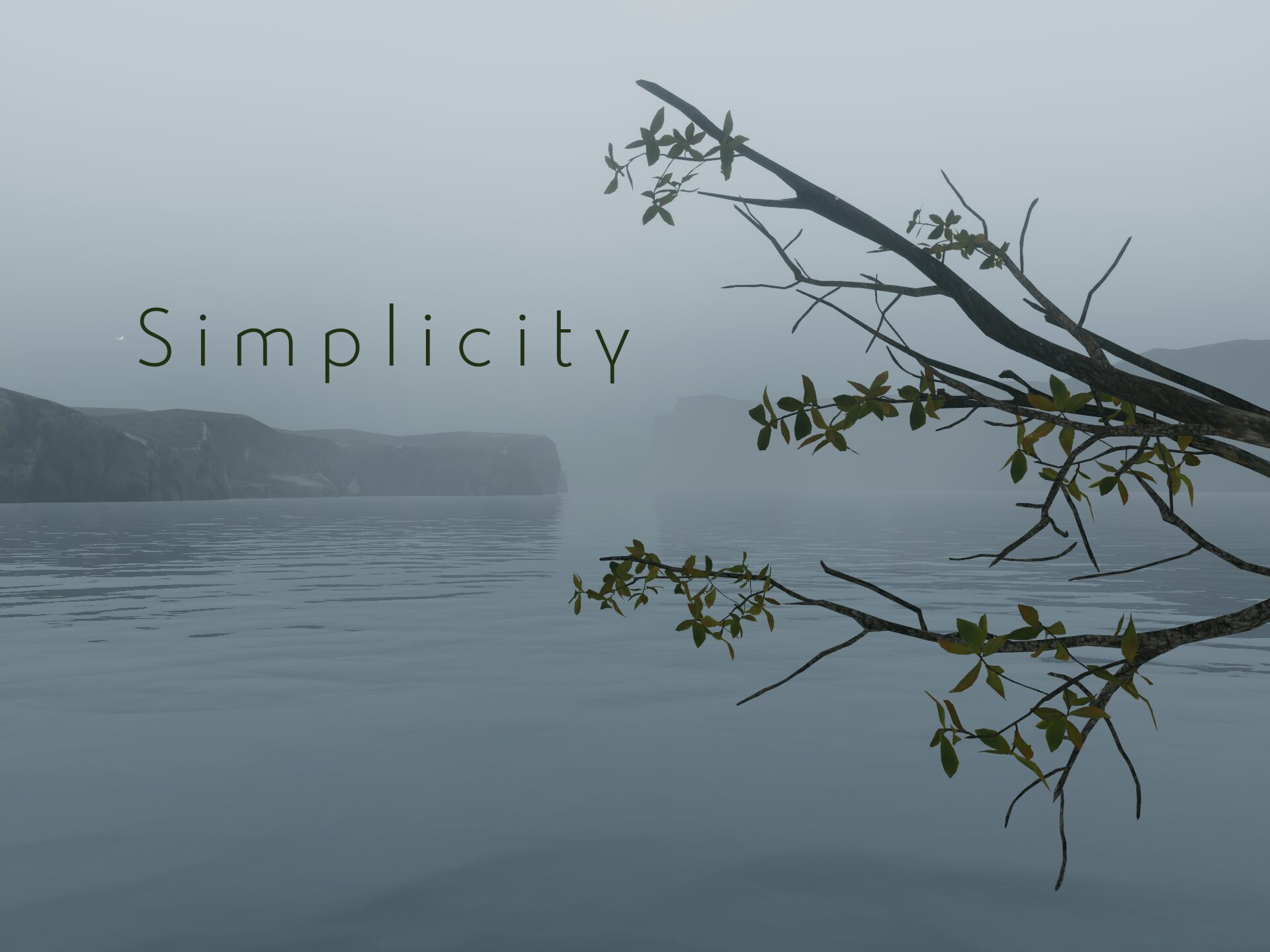 Simplicity