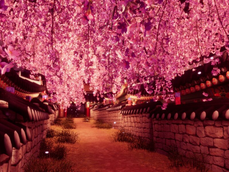 Path of Cherry Blossoms - 벚꽃길