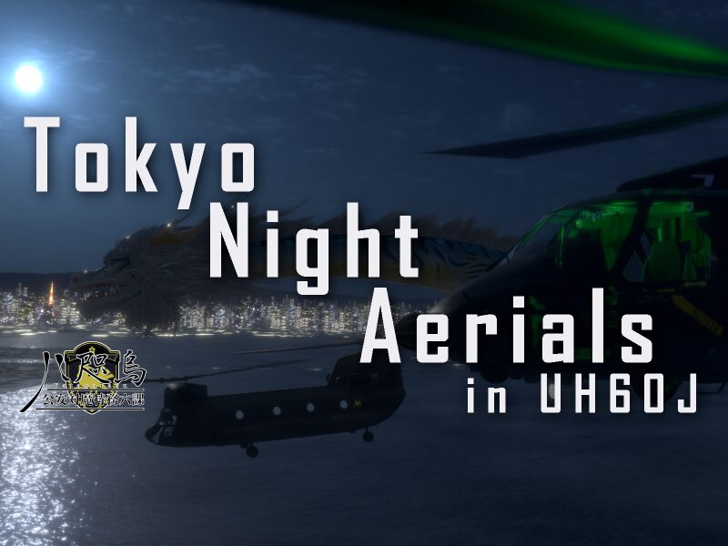 Tokyo Night Aerials in UH60J