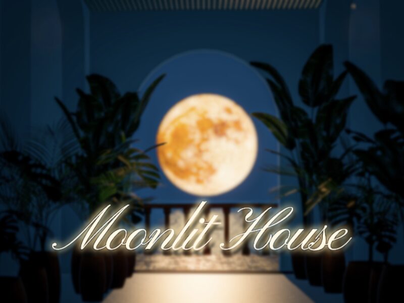 Moonlit House