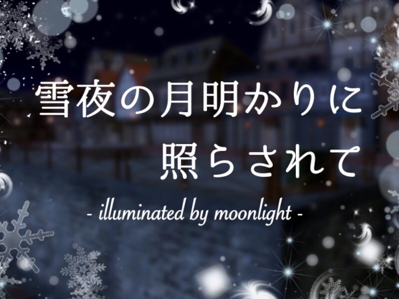 雪夜の月明かりに照らされて- illuminated by moonlight -