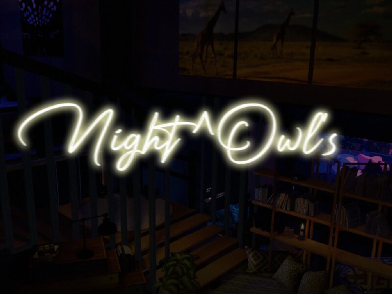 Night Owl Night Owl