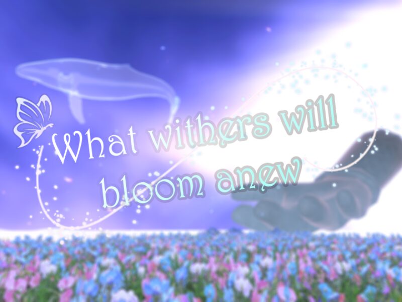 枯れた花は再び咲く