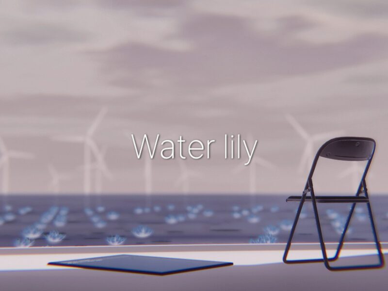 Water lily