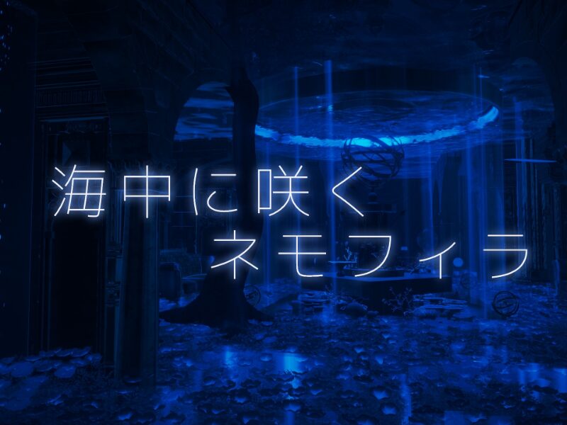 海中に咲くネモフィラ