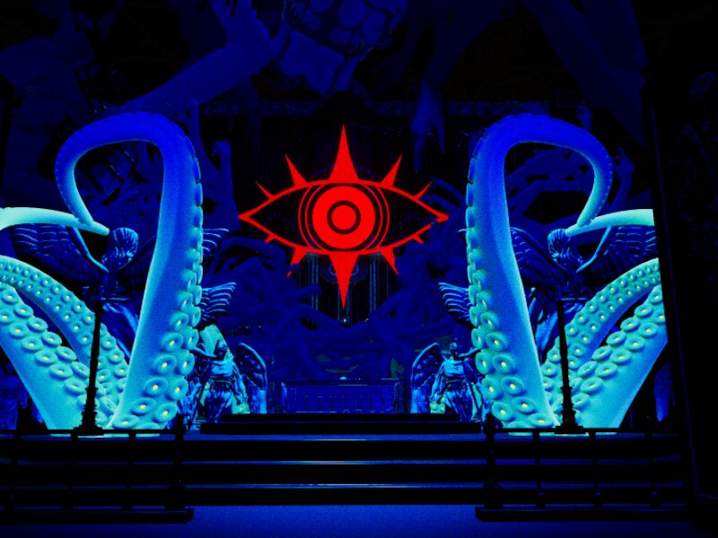 愚鈍蛸 Dull Octopus