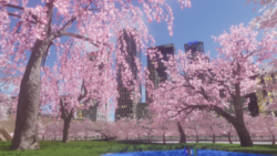 カソウ中之島 Kasou Nakanoshima