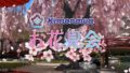Kimonowa Ohanami World