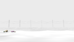 白い砂浜