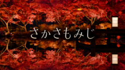 さかさもみじ - Mirror Maple