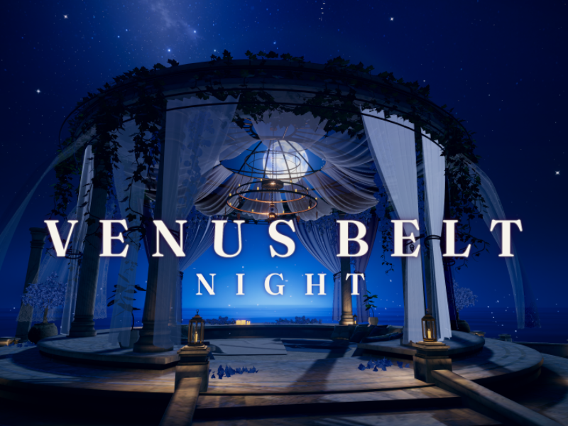VENUS BELT NIGHT