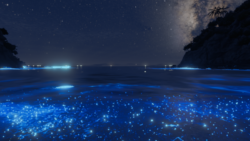 星の入り江 - Liminal Cove
